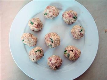 豆腐丸子豆苗汤怎么做,豆腐丸子豆苗汤怎么做好吃,豆腐丸子豆苗汤做法 豆腐丸子豆苗汤怎么做,豆腐丸子豆苗汤怎么做好吃,豆腐丸子豆苗汤做法