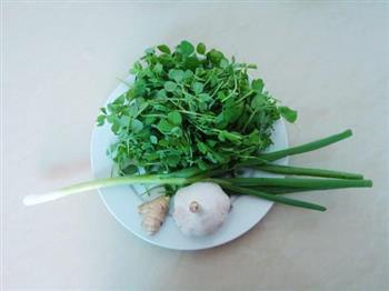 豆腐丸子豆苗汤怎么做,豆腐丸子豆苗汤怎么做好吃,豆腐丸子豆苗汤做法 豆腐丸子豆苗汤怎么做,豆腐丸子豆苗汤怎么做好吃,豆腐丸子豆苗汤做法