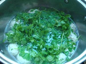 豆腐丸子豆苗汤怎么做,豆腐丸子豆苗汤怎么做好吃,豆腐丸子豆苗汤做法 豆腐丸子豆苗汤怎么做,豆腐丸子豆苗汤怎么做好吃,豆腐丸子豆苗汤做法