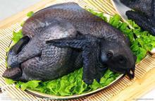 椰肉乌鸡汤怎么做,椰肉乌鸡汤怎么做好吃,椰肉乌鸡汤做法 椰肉乌鸡汤怎么做,椰肉乌鸡汤怎么做好吃,椰肉乌鸡汤做法