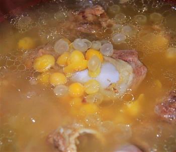 豌豆炖筒子骨汤怎么做,豌豆炖筒子骨汤怎么做好吃,豌豆炖筒子骨汤做法 豌豆炖筒子骨汤怎么做,豌豆炖筒子骨汤怎么做好吃,豌豆炖筒子骨汤做法