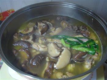 鲜菇清炖鸡汤怎么做,鲜菇清炖鸡汤怎么做好吃,鲜菇清炖鸡汤做法 鲜菇清炖鸡汤怎么做,鲜菇清炖鸡汤怎么做好吃,鲜菇清炖鸡汤做法