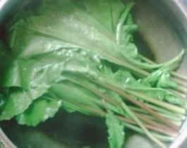 萝卜缨汤怎么做,萝卜缨汤怎么做好吃,萝卜缨汤做法 萝卜缨汤怎么做,萝卜缨汤怎么做好吃,萝卜缨汤做法