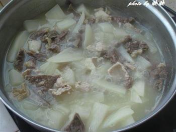 白萝卜煲猪肺怎么做，白萝卜煲猪肺怎么做好吃，白萝卜煲猪肺做法