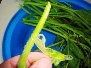 南瓜藤土豆汤怎么做,南瓜藤土豆汤怎么做好吃,南瓜藤土豆汤做法 南瓜藤土豆汤怎么做,南瓜藤土豆汤怎么做好吃,南瓜藤土豆汤做法