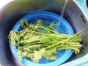 南瓜藤土豆汤怎么做，南瓜藤土豆汤怎么做好吃，南瓜藤土豆汤做法