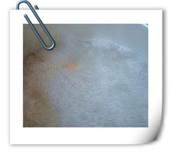 甜虾爆双鲜怎么做,甜虾爆双鲜怎么做好吃,甜虾爆双鲜做法 甜虾爆双鲜怎么做,甜虾爆双鲜怎么做好吃,甜虾爆双鲜做法