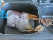 大鹅怎么做,大鹅怎么做好吃,大鹅做法