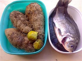 毛薯鲫鱼汤怎么做,毛薯鲫鱼汤怎么做好吃,毛薯鲫鱼汤做法