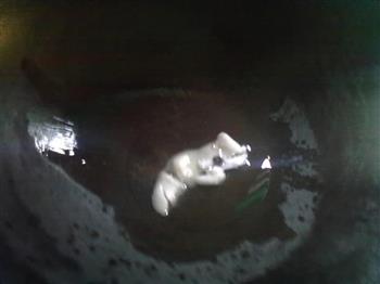 河虾豆腐汤怎么做，河虾豆腐汤怎么做好吃，河虾豆腐汤做法