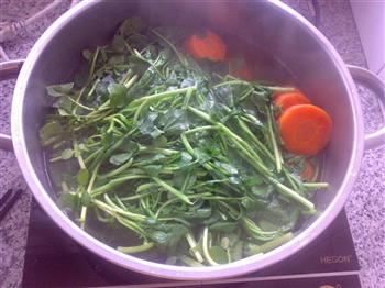 白贝西洋菜汤怎么做，白贝西洋菜汤怎么做好吃，白贝西洋菜汤做法