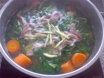 白贝西洋菜汤怎么做，白贝西洋菜汤怎么做好吃，白贝西洋菜汤做法