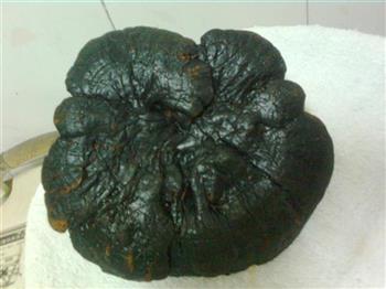 杜仲灵芝猪尾骨汤怎么做，杜仲灵芝猪尾骨汤怎么做好吃，杜仲灵芝猪尾骨汤做法