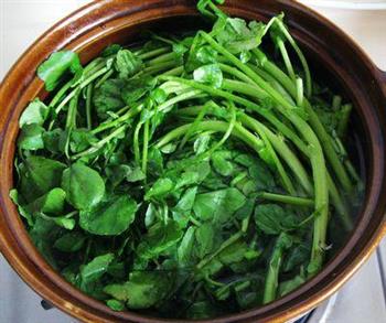 西洋菜褒扇骨怎么做,西洋菜褒扇骨怎么做好吃,西洋菜褒扇骨做法 西洋菜褒扇骨怎么做,西洋菜褒扇骨怎么做好吃,西洋菜褒扇骨做法