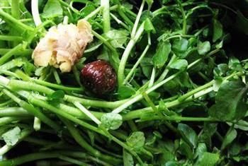 西洋菜褒扇骨怎么做,西洋菜褒扇骨怎么做好吃,西洋菜褒扇骨做法 西洋菜褒扇骨怎么做,西洋菜褒扇骨怎么做好吃,西洋菜褒扇骨做法