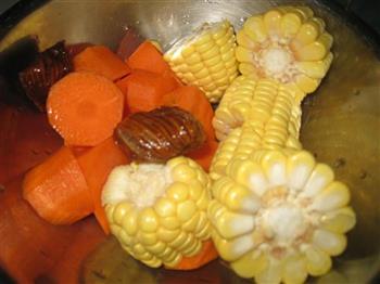 膨鱼腮菜干瘦肉汤怎么做，膨鱼腮菜干瘦肉汤怎么做好吃，膨鱼腮菜干瘦肉汤做法