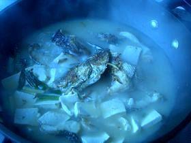 炖火头鱼怎么做，炖火头鱼怎么做好吃，炖火头鱼做法