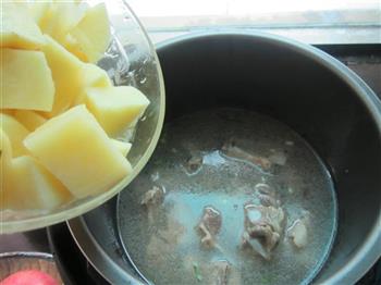 排骨炖土豆怎么做,排骨炖土豆怎么做好吃,排骨炖土豆做法 排骨炖土豆怎么做,排骨炖土豆怎么做好吃,排骨炖土豆做法