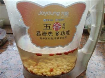 枸杞薏米豆浆怎么做，枸杞薏米豆浆怎么做好吃，枸杞薏米豆浆做法