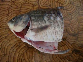 补钙鲫鱼头汤怎么做,补钙鲫鱼头汤怎么做好吃,补钙鲫鱼头汤做法