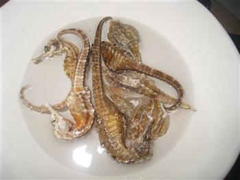 海马椰子炖瘦肉汤怎么做,海马椰子炖瘦肉汤怎么做好吃,海马椰子炖瘦肉汤做法