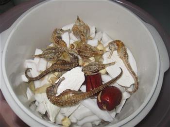 海马椰子炖瘦肉汤怎么做,海马椰子炖瘦肉汤怎么做好吃,海马椰子炖瘦肉汤做法 海马椰子炖瘦肉汤怎么做,海马椰子炖瘦肉汤怎么做好吃,海马椰子炖瘦肉汤做法