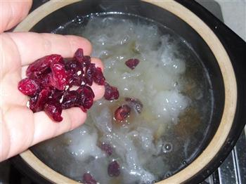 雪莲子桃花泪怎么做，雪莲子桃花泪怎么做好吃，雪莲子桃花泪做法