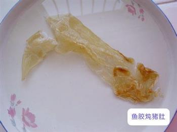 鱼胶炖猪肚怎么做，鱼胶炖猪肚怎么做好吃，鱼胶炖猪肚做法